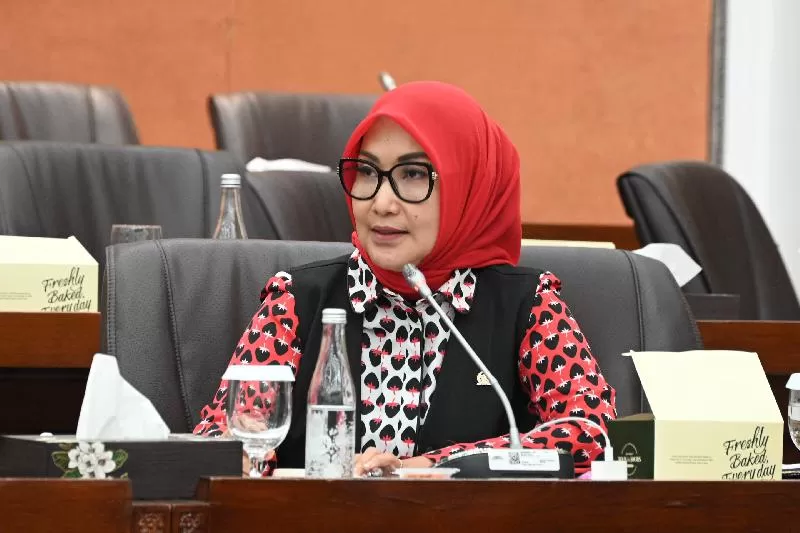 Anggota Komisi VI DPR RI, Imas Aan Ubudiah soroti pungli, illegal logging, hingga alih fungsi lahan di hutan Garut dan Tasikmalaya. (Foto: DPR RI)