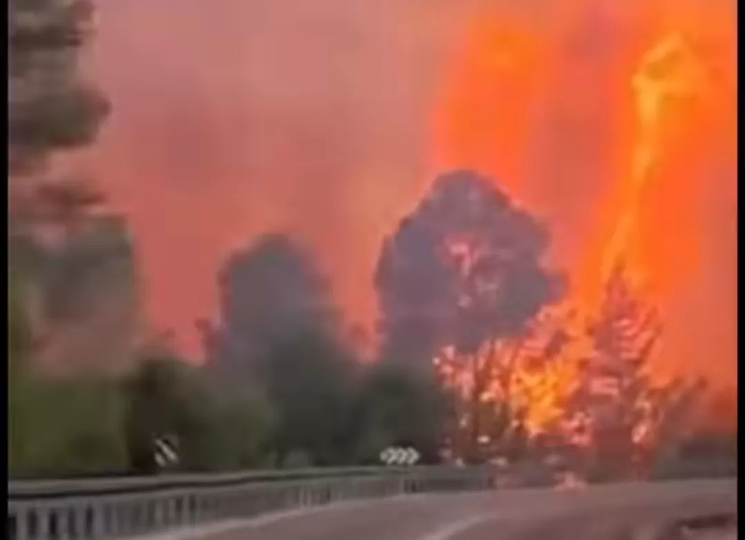 Asap tebal membubung dari lereng bukit saat kebakaran hutan melanda dekat Yerusalem.(Foto: tangkapan layar Instagram @fuadbakh23)