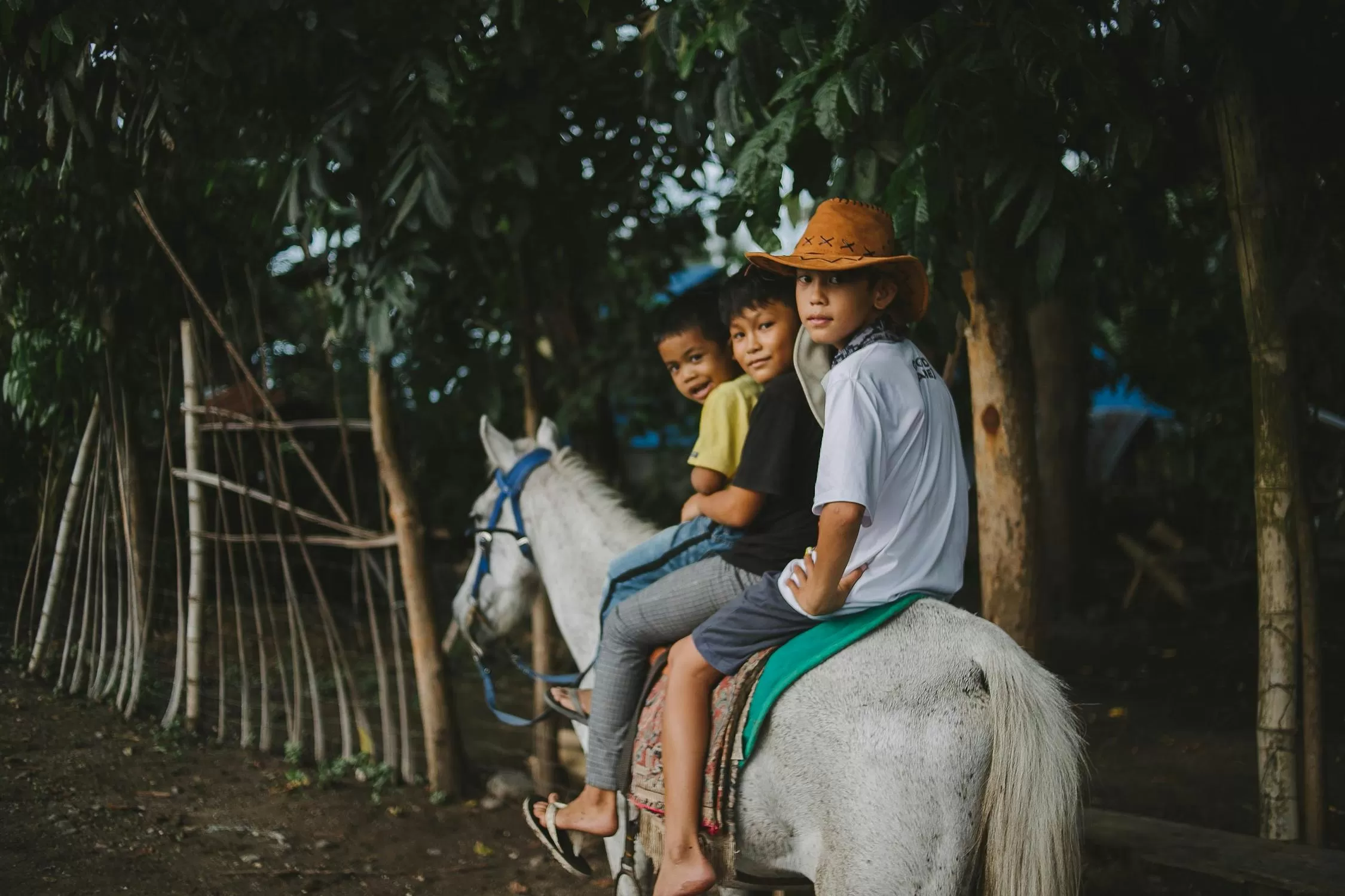Temukan destinasi wisata ramah anak terbaik yang menyenangkan, menambah pengetahuan, dan cocok untuk liburan keluarga. (Foto: Pexels.com)