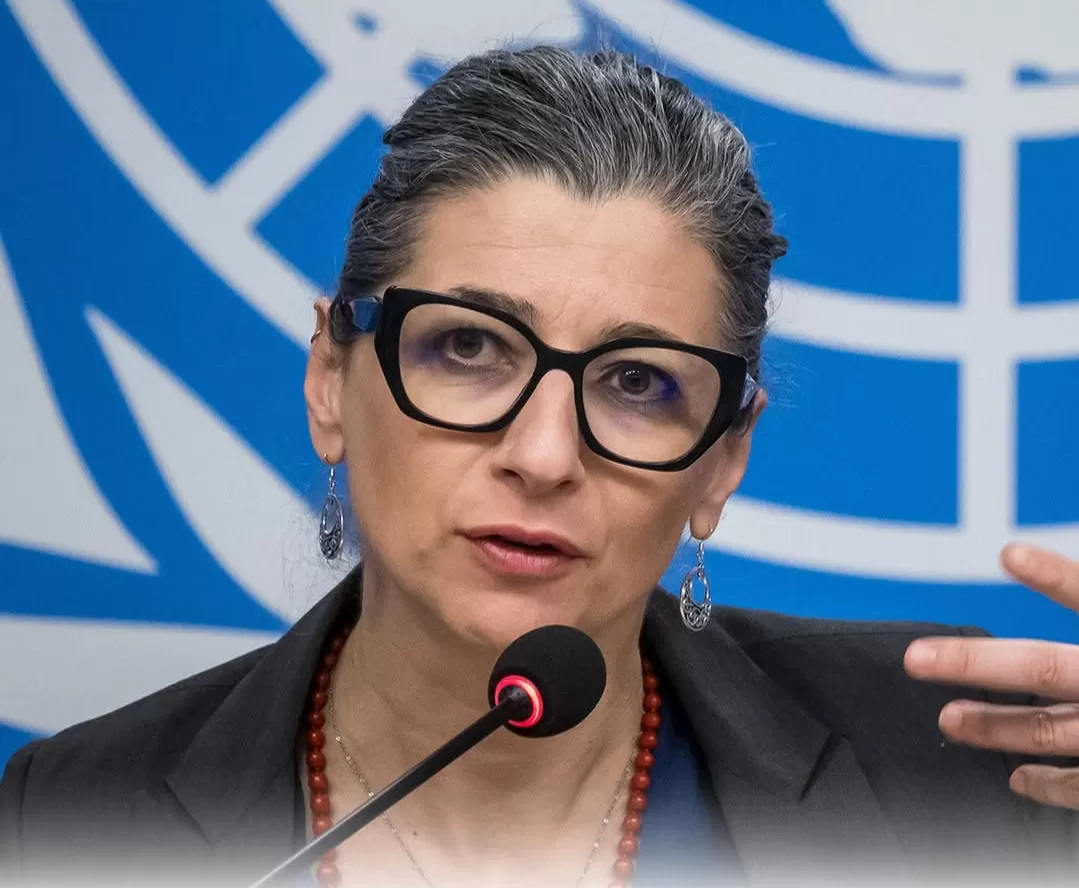 Francesca Albanese berbicara di Dewan HAM PBB soal krisis kemanusiaan di Gaza. (Foto: Instagram @francesca.albanese.unsr.opt)
