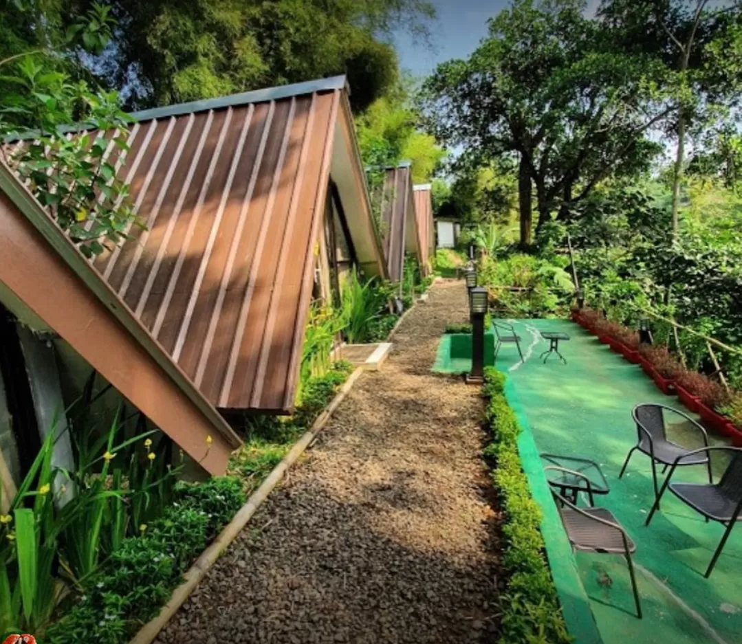 Suasana glamping nyaman dan alami di The Forest Cisarua, cocok untuk liburan keluarga.(Foto: Instagram @theforestcisarua)