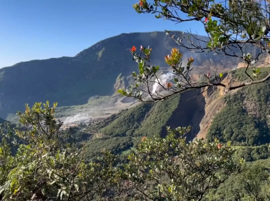 Pendakian ringan di Papandayan tawarkan pemandangan kawah, Edelweis, dan jalur ramah pemula. (Foto: Instagram @papandayan_id)