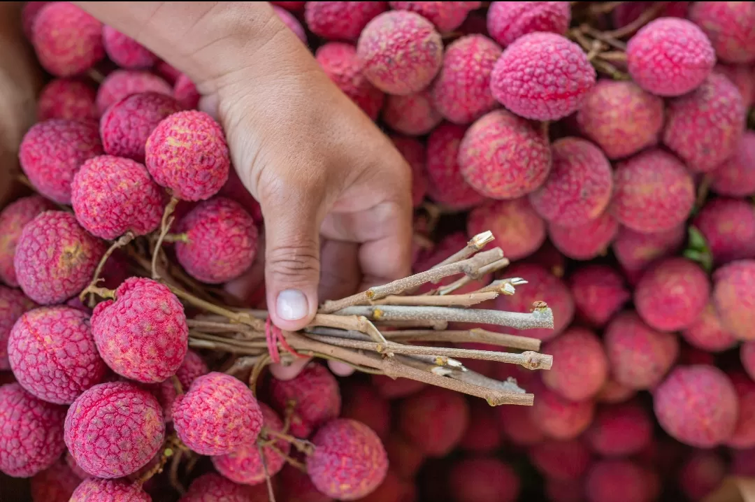Buah kelengkeng merah kaya vitamin dan antioksidan, bermanfaat menjaga imun, kulit, pencernaan, hingga tulang. (Foto: Freepik)