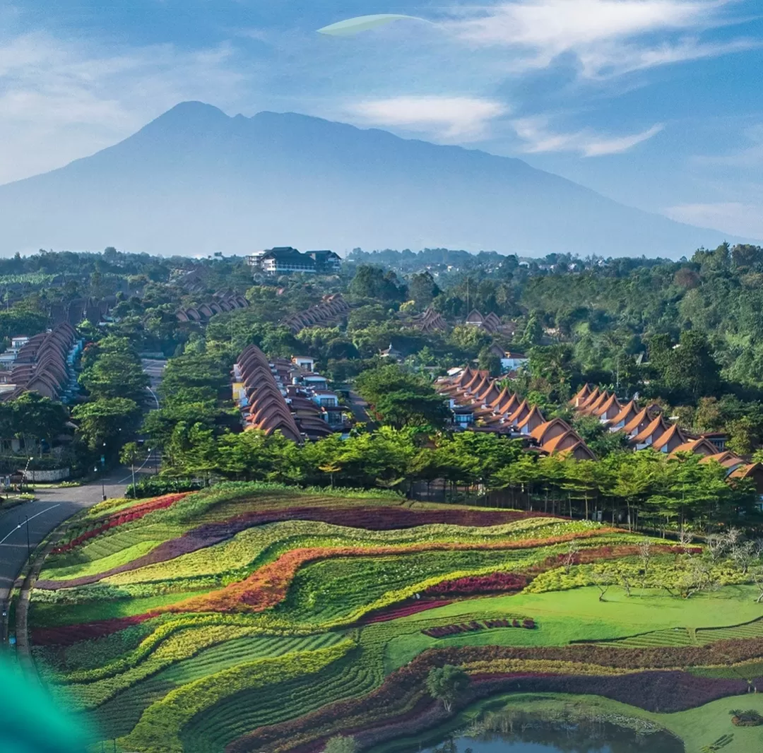 Hamparan bunga warna-warni di Taman Bunga Vimala Hills yang viral mirip suasana Eropa. (Foto: Instagram @vimala_hills)