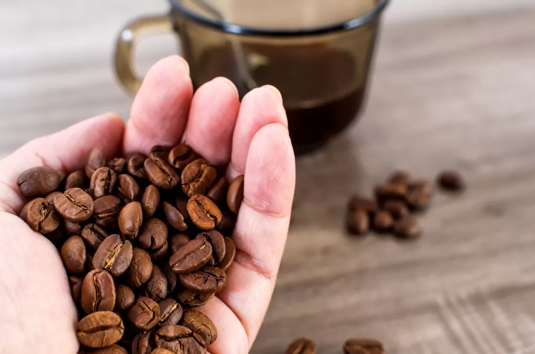 Ilustrasi. Kafein bermanfaat meningkatkan energi, tetapi berlebihan berbahaya. Pahami dampak positif dan negatifnya bagi tubuh. (Foto: Freepik)