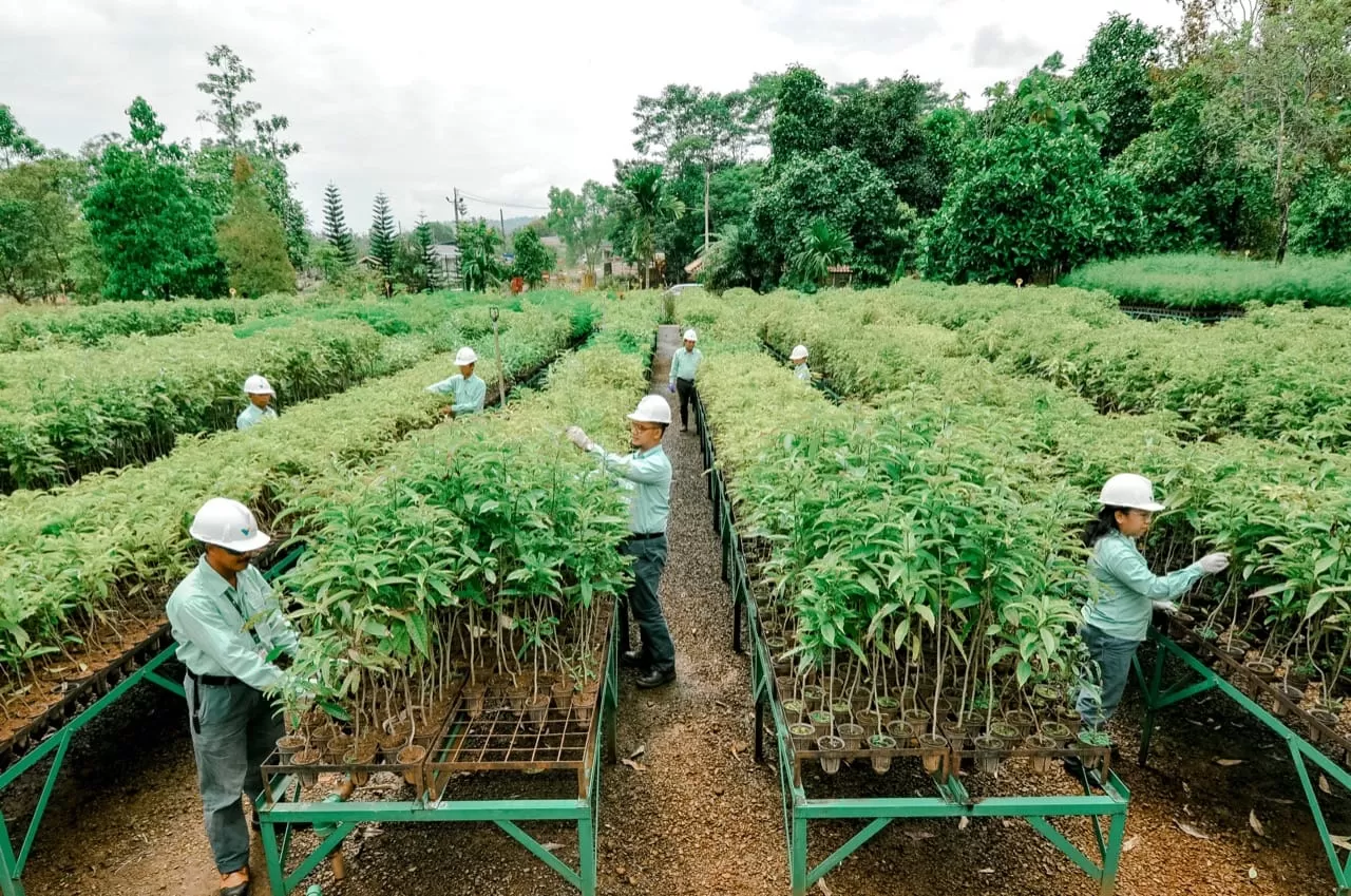 Holding Industri Pertambangan Indonesia MIND ID konsisten dalam penerapan prinsip Environmental, Social, and Governance (ESG) merupakan bagian menyeluruh dari setiap proses bisnis pertambangan. 