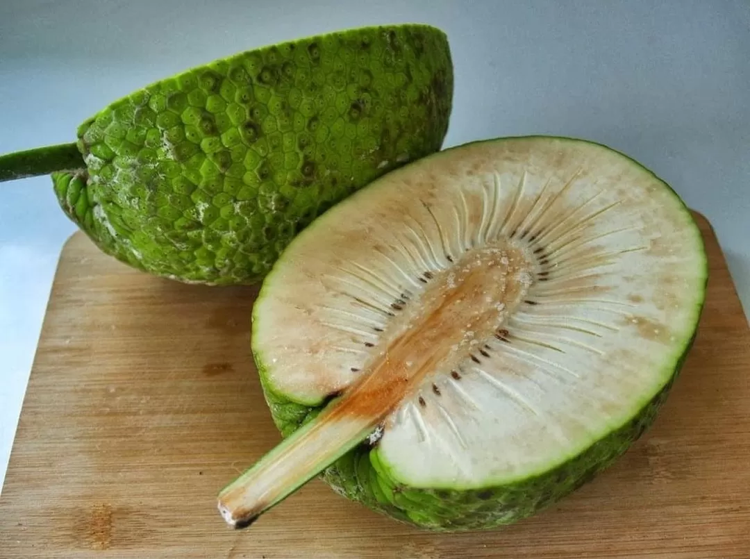 Sukun memang kaya manfaat, tapi berisiko bagi sebagian orang. (Foto: Instagram @buah_sukun)