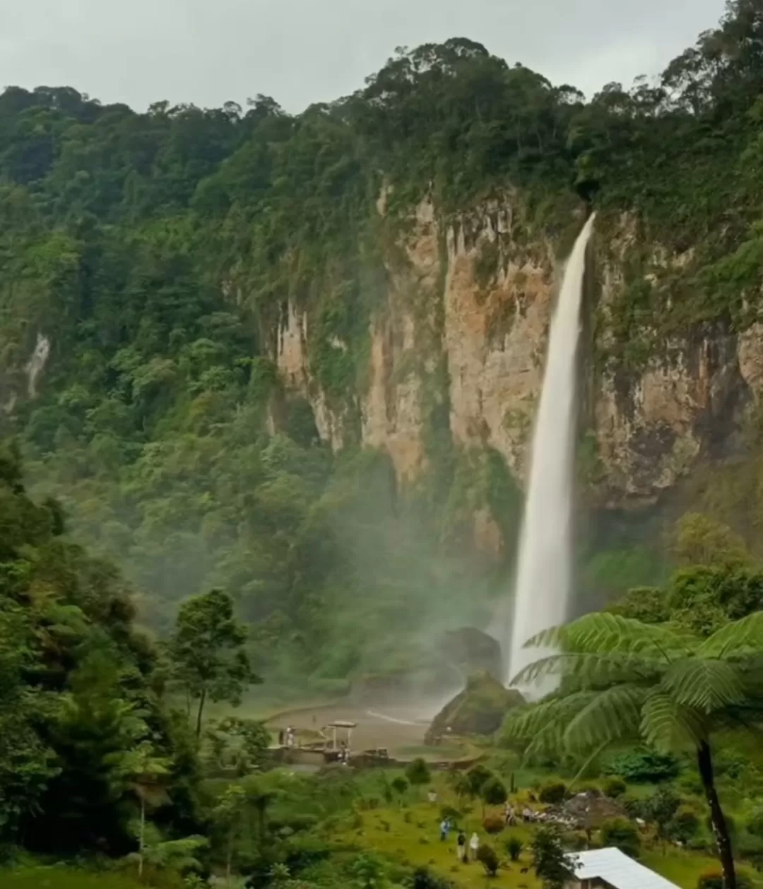 Curug Ngebul menghadirkan pesona air terjun berkabut dan suasana alam yang masih sangat alami. (Foto: Instagram @curug_ngebul)