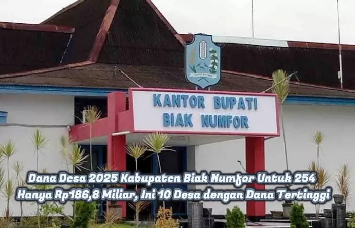 Dana Desa 2025 Kabupaten Biak Numfor Untuk 254 Hanya Rp186,8 Miliar, Ini 10 Desa dengan Dana Tertinggi. (foto: Istimewa)