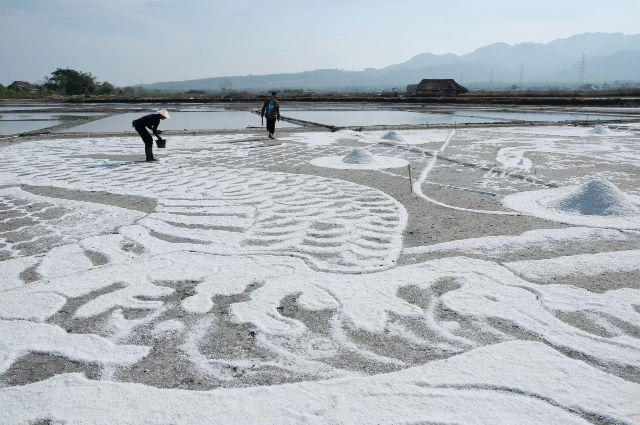 Lukisan Garam di Tambak Gede Desa Dasun Lasem. Foto: dasun-rembang.desa.id