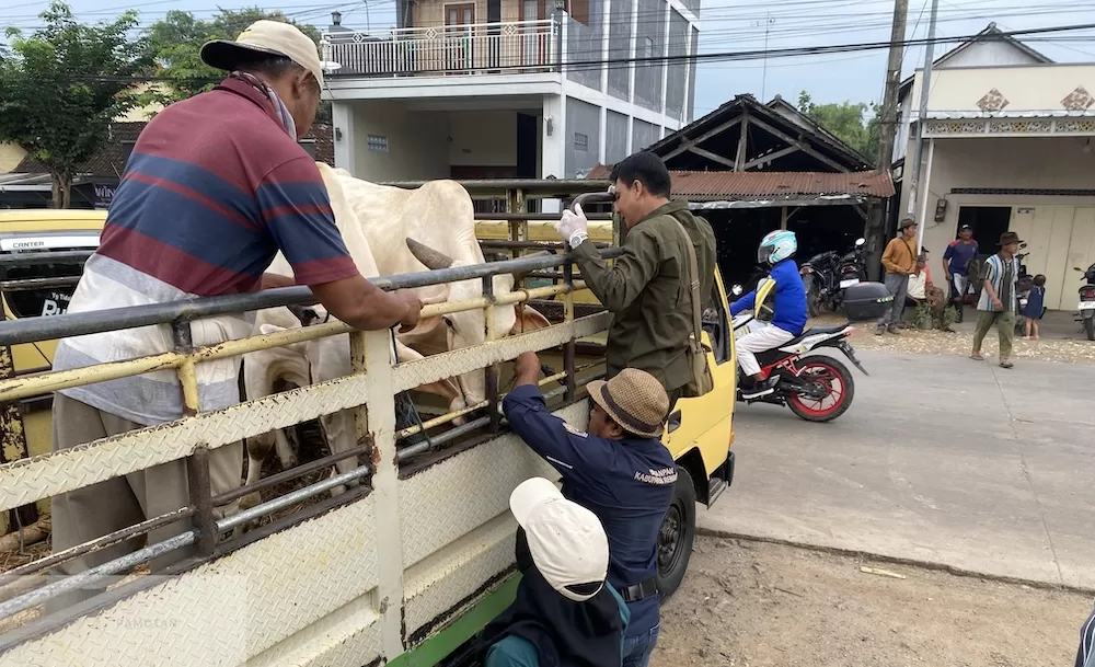 PMK Merebak, Pasar Hewan di Rembang Diperketat