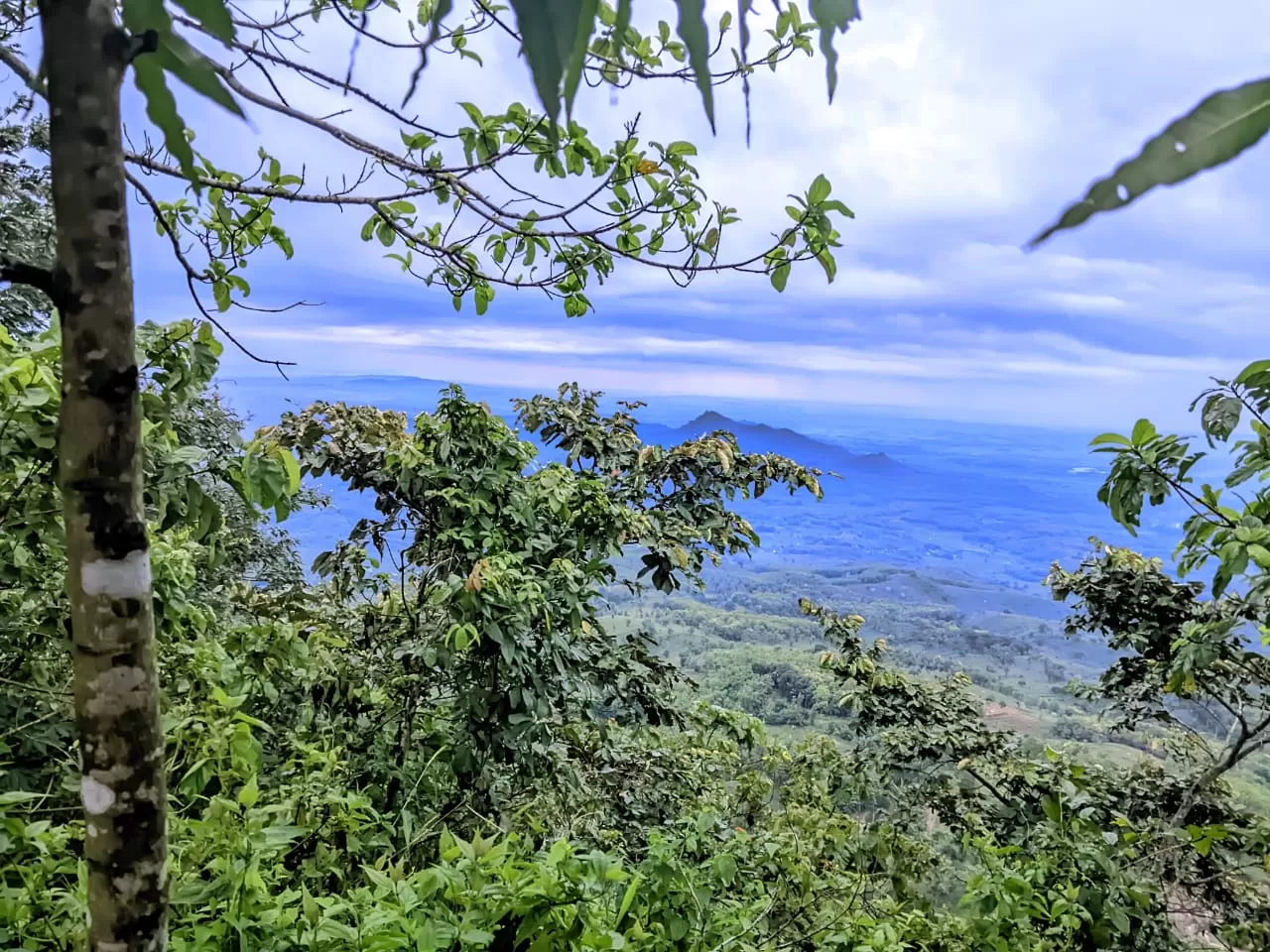 Nikmati pengalaman seru kemping di Gunung Buthak Rembang, dikelilingi kabut dan alam menakjubkan. Temukan tips dan cerita menarik dari Rembang Camping!