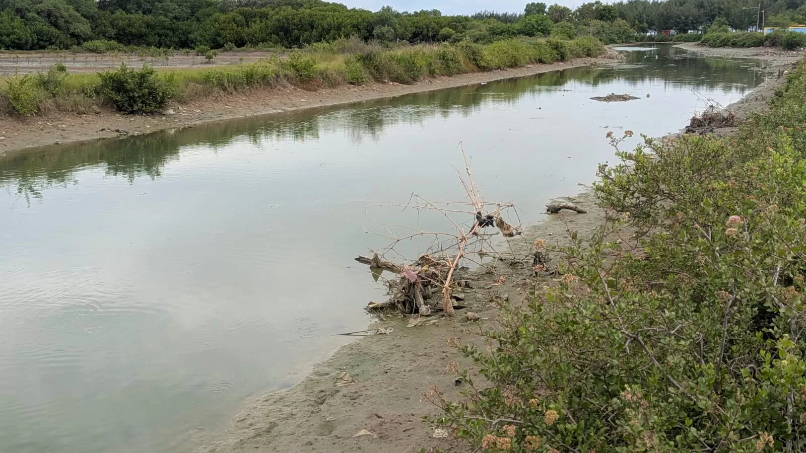 Pendangkalan Sungai Pasarbanggi di Kecamatan Rembang semakin parah, membuat nelayan kesulitan saat pulang melaut