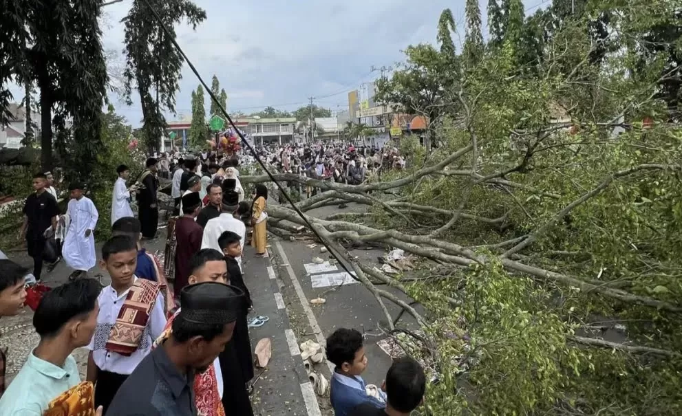 Pohon tumbang menimpa jamaah salat Idulfitri di Pemalang. Foto: X