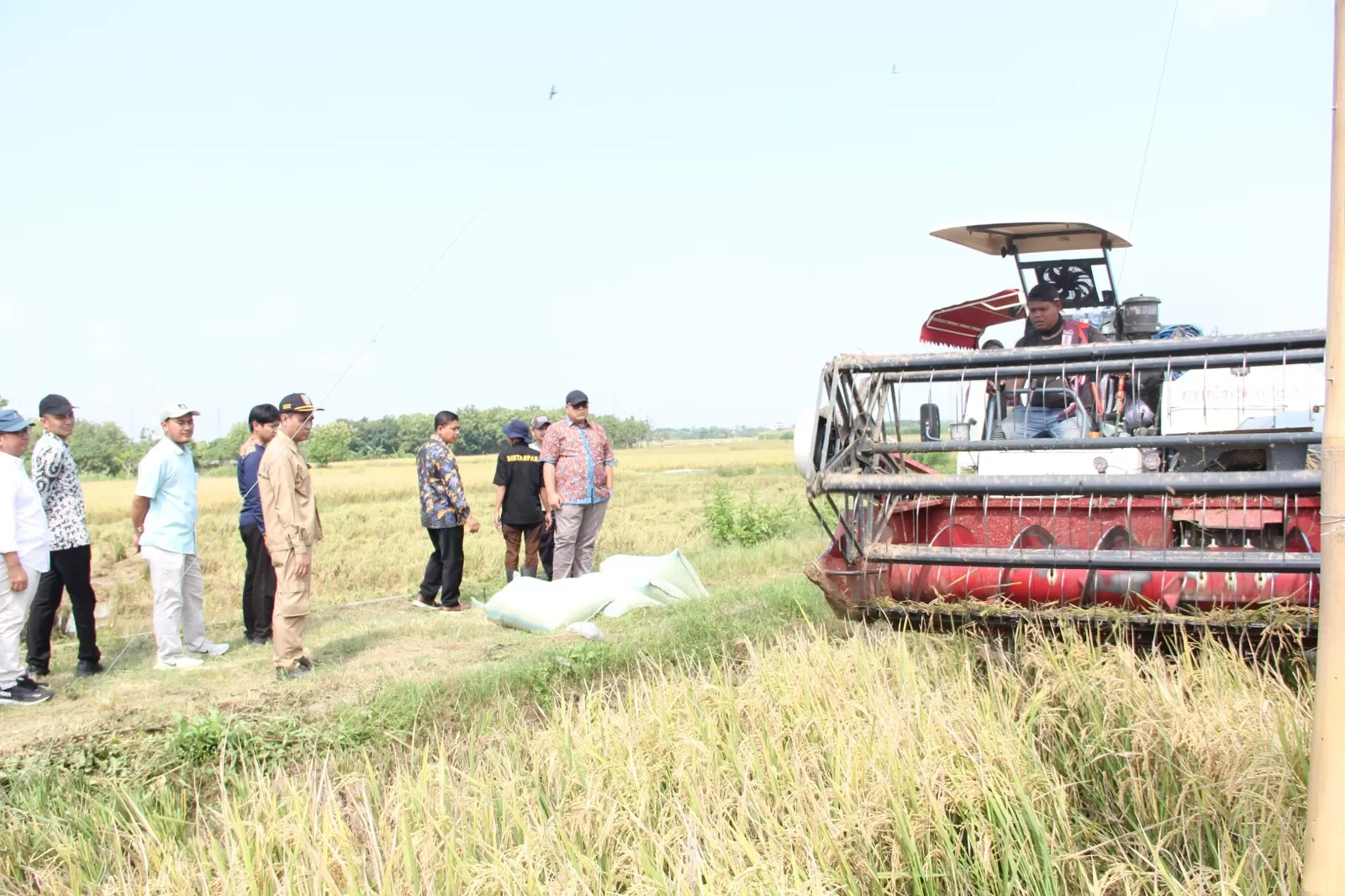 Cuaca Bagus, Panen Padi di Rembang Tembus 56 Ribu Ton!