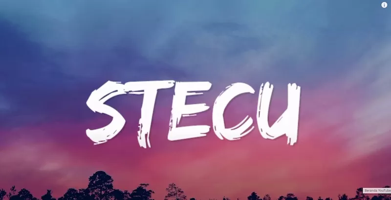 Lagu Stecu Stecu viral di TikTok. Lirik unik, irama asik, dan makna dalam bikin netizen baper dan auto nyanyi.