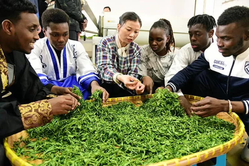 China menambahkan keterampilan memasak ke kurikulum sekolah untuk membentuk siswa mandiri dan siap menghadapi kehidupan nyata. Foto: en.moe.gov.cn
