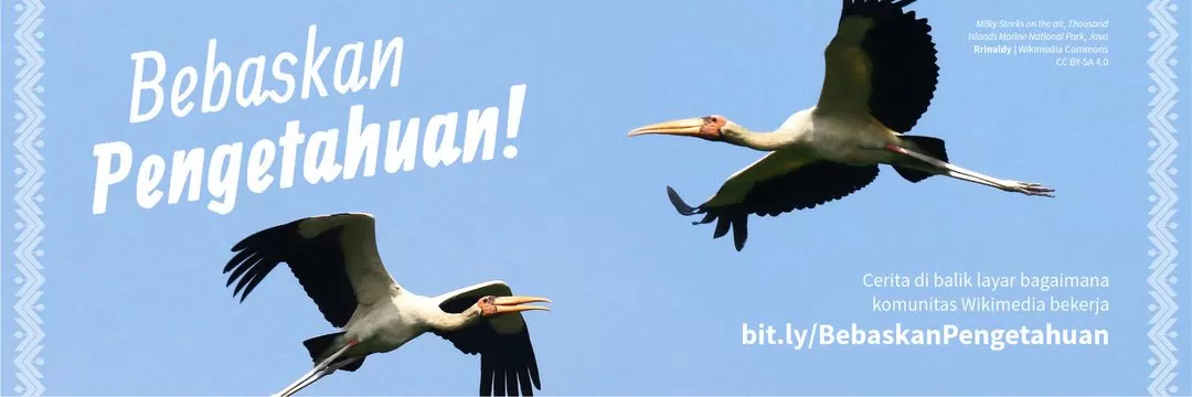 Wikipedia Bahasa Indonesia merayakan ulang tahun ke-22, berkat kontribusi sukarelawan yang memperkaya ensiklopedia digital ini. 