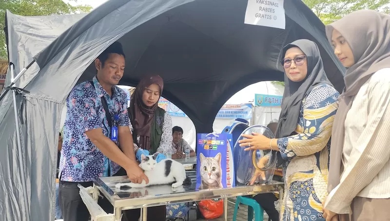 Vaksinasi rabies gratis untuk hewan peliharaan jadi primadona di Rembang Expo 2025