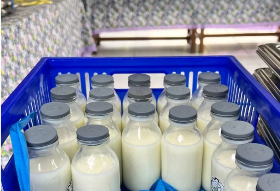 BGN jelaskan alasan susu MBG memiliki kandungan susu segar kurang dari 30 persen. (bgn.go.id)