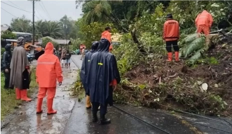 Tanah longsor tutup akses di sejumlah daerah di Tapanuli Selatan, Sumatera Utara. (BPBD Tapanuli Selatan)