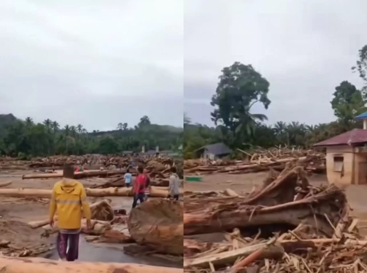 Kayu gelondongan yang menghantam rumah-rumah di Tapanuli Selatan saat banjir bandang. (Instagram/sumutnusantara)