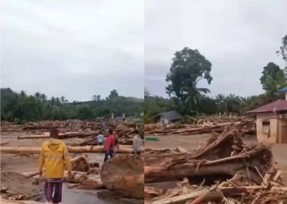 Kayu gelondongan yang menghantam rumah-rumah di Tapanuli Selatan saat banjir bandang. (Instagram/sumutnusantara)