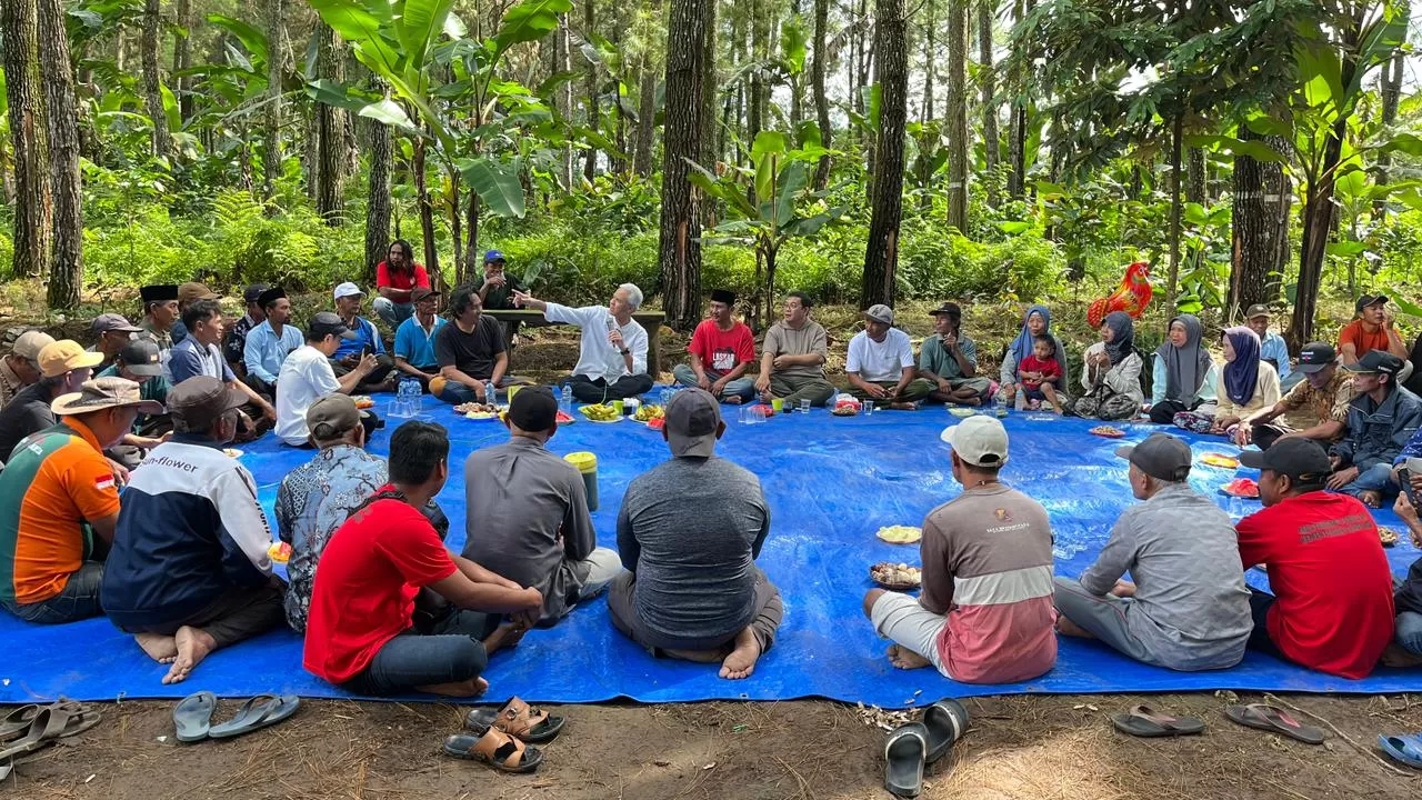 Ganjar Hadiri Penanaman Perdana Pisang Cavendish di Banyuwangi, KTH Green Bayu Mandiri Bangun Sentra Baru  