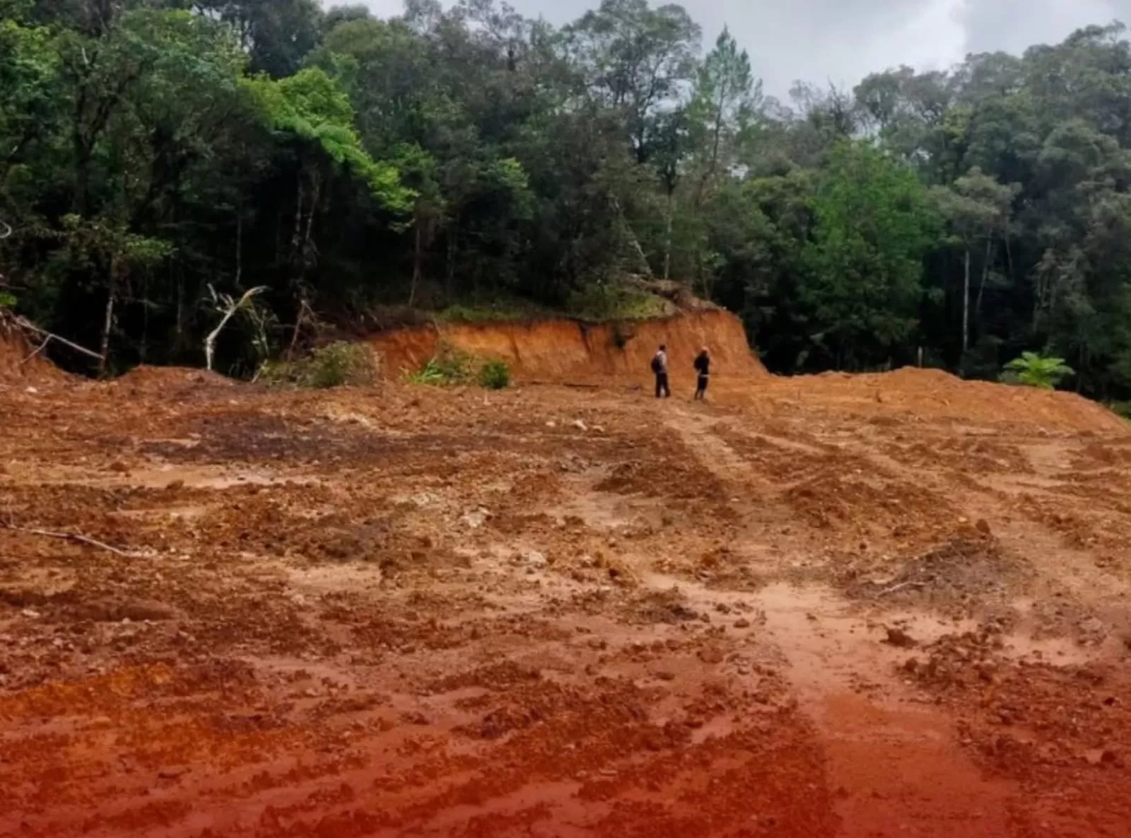 Hutan lindung Gowa digunduli diam-diam. PILHI peringatkan kerusakan hulu DAS Jeneberang ancam banjir dan krisis air Makassar.