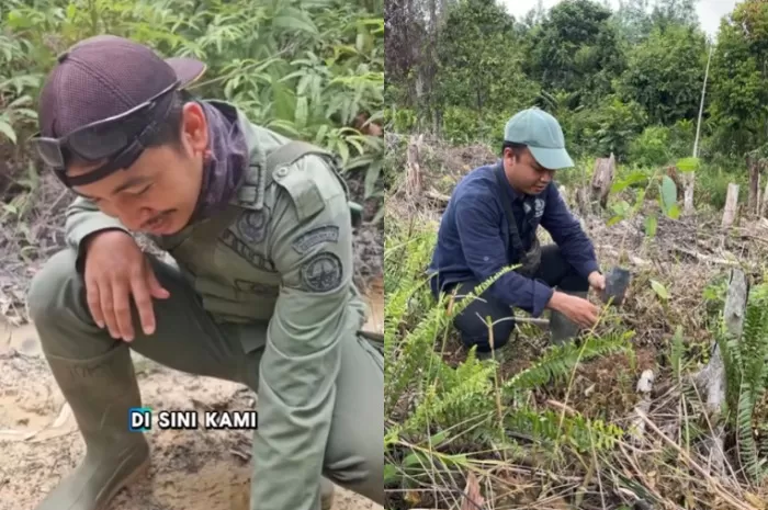 Menyoroti penemuan ranjau paku di kawasan Taman Nasional Tesso Nilo dalam area yang sering dilalui satwa gajah Sumatera. (Instagram.com/@btn_tessonilo)