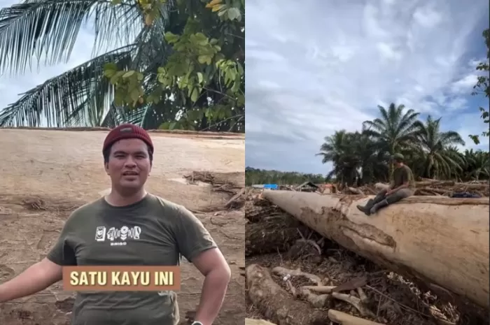 Menyoroti penuturan relawan bencana di Aceh Tamiang yang menemukan batang kayu super besar yang terbawa arus banjir bandang. (Instagram.com/@babang.amien)