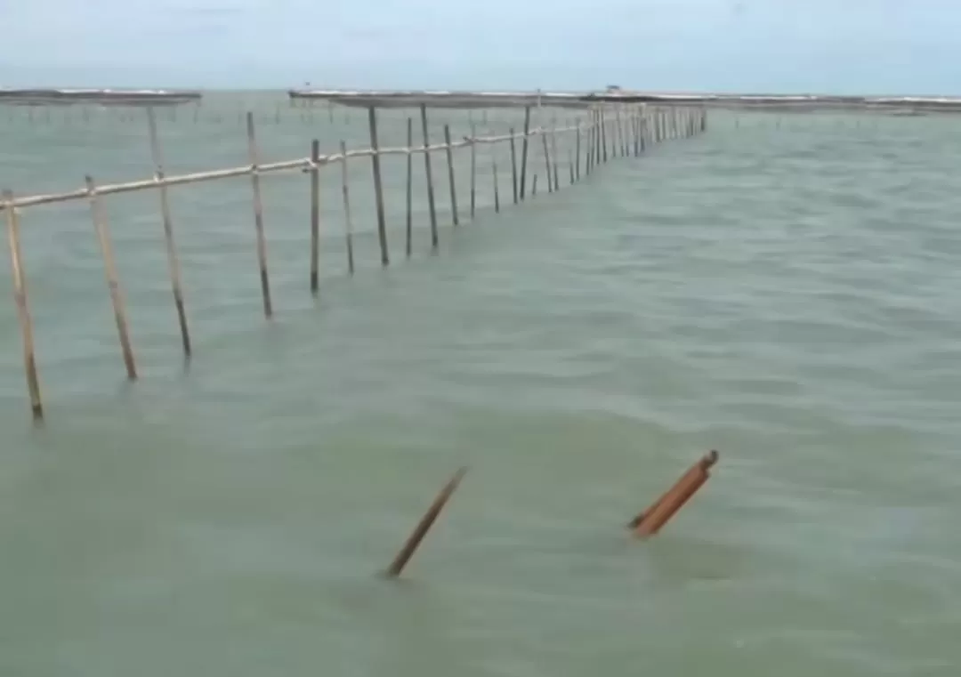 Pagar laut 30,16 km di Tangerang, Banten  (Dok Kementerian Kelautan dan Perikanan)