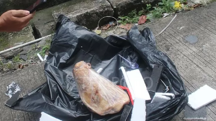 Paket berisi kepala babi yang ditujukan kepada wartawan Tempo, Francisca Christy Rosana, di kantor Tempo, Palmerah, Jakarta Selatan, 20 Maret 2025. TEMPO/Gunawan Wicaksono