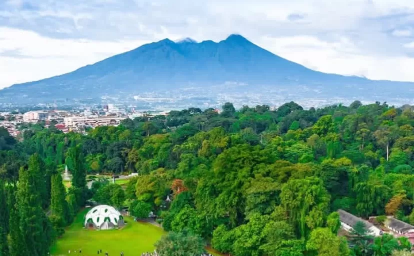Pengunjung Taman Nasional Gunung Halimun Salak (TNGHS) saat ini diwajibkan membeli tiket secara online. (Dok: Instagram/ sekitar gunung salak).