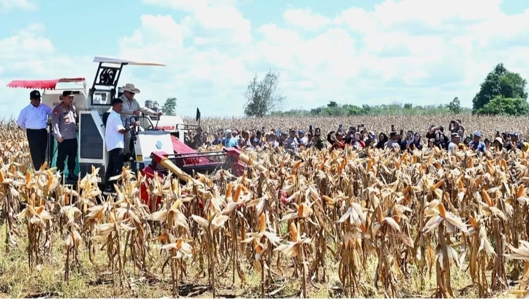 Presiden Prabowo Subianto melakukan Panen Raya Jagung Serentak Kuartal II di 36 Polda se-Indonesia yang dipusatkan di Kabupaten Bengkayang, Kalimantan Barat, pada Kamis, 5 Juni 2025 (Foto: BPMI Setpres/Cahyo)