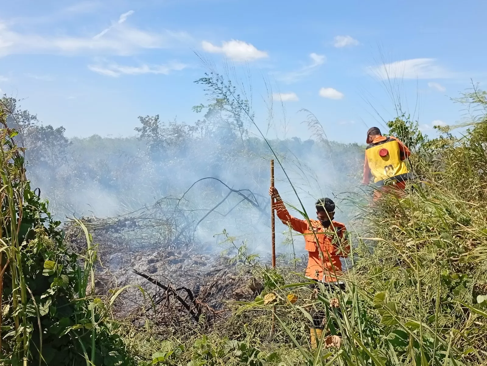 Penanganan kebakaran hutan di Sumut pada Jumat, 11 Juli 2025.