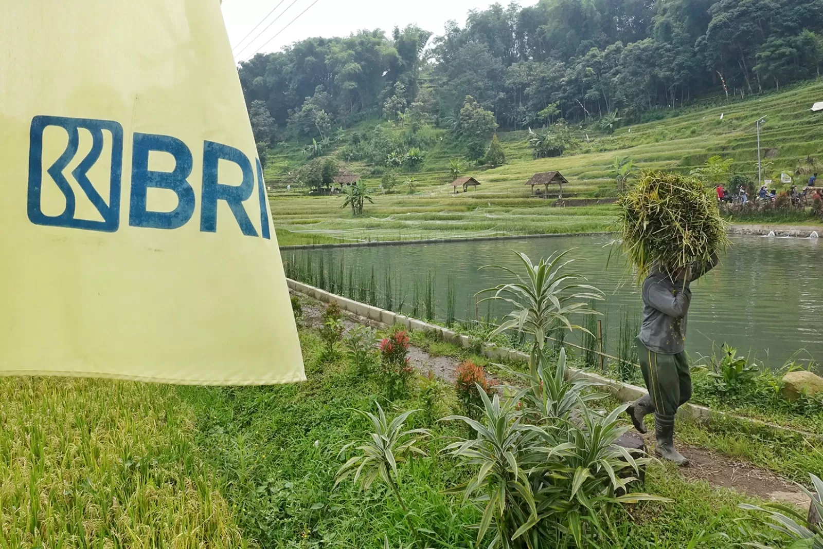 KUR BRI sudah tersalurkan hingga Rp83,38 Triliun hingga akhir Triwulan II tahun 2025 (Foto: Dok Bank BRI)