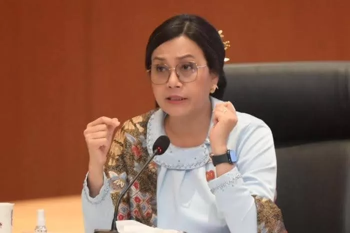 Menkeu Sri Mulyani soal  Insentif PPN DTP Perumahan 2026   (Instagram.com/@sm_indrawati)