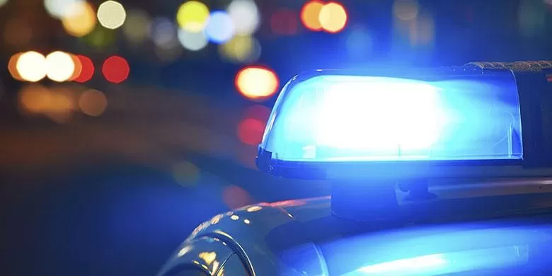 Ilustrasi Kendaraan Resmi yang Boleh Pakai Strobo & Sirene (foto: istimewa)