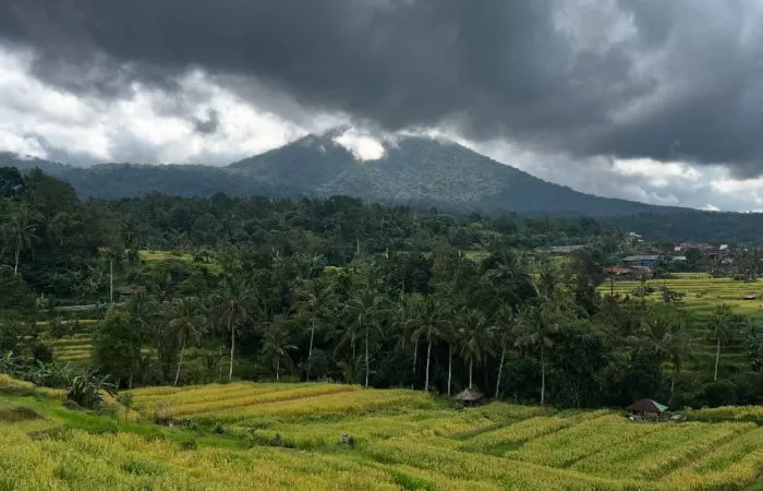 Desa Wisata Pemuteran, Bali raih Best Tourism Village 2025 (Foto: Instagram/@pokdarwis_pemuteran)