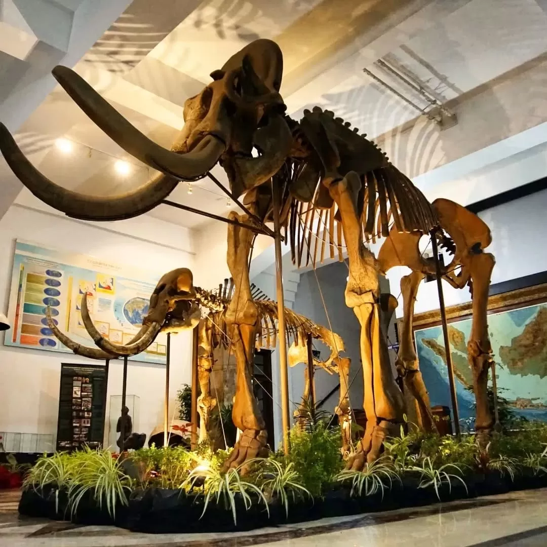 Museum Geologi Bandung. (instagram.com/dunialoka.id)