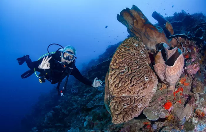 Keindahan bawah laut Teluk Tomini (Foto: Instagram/@rudybun)