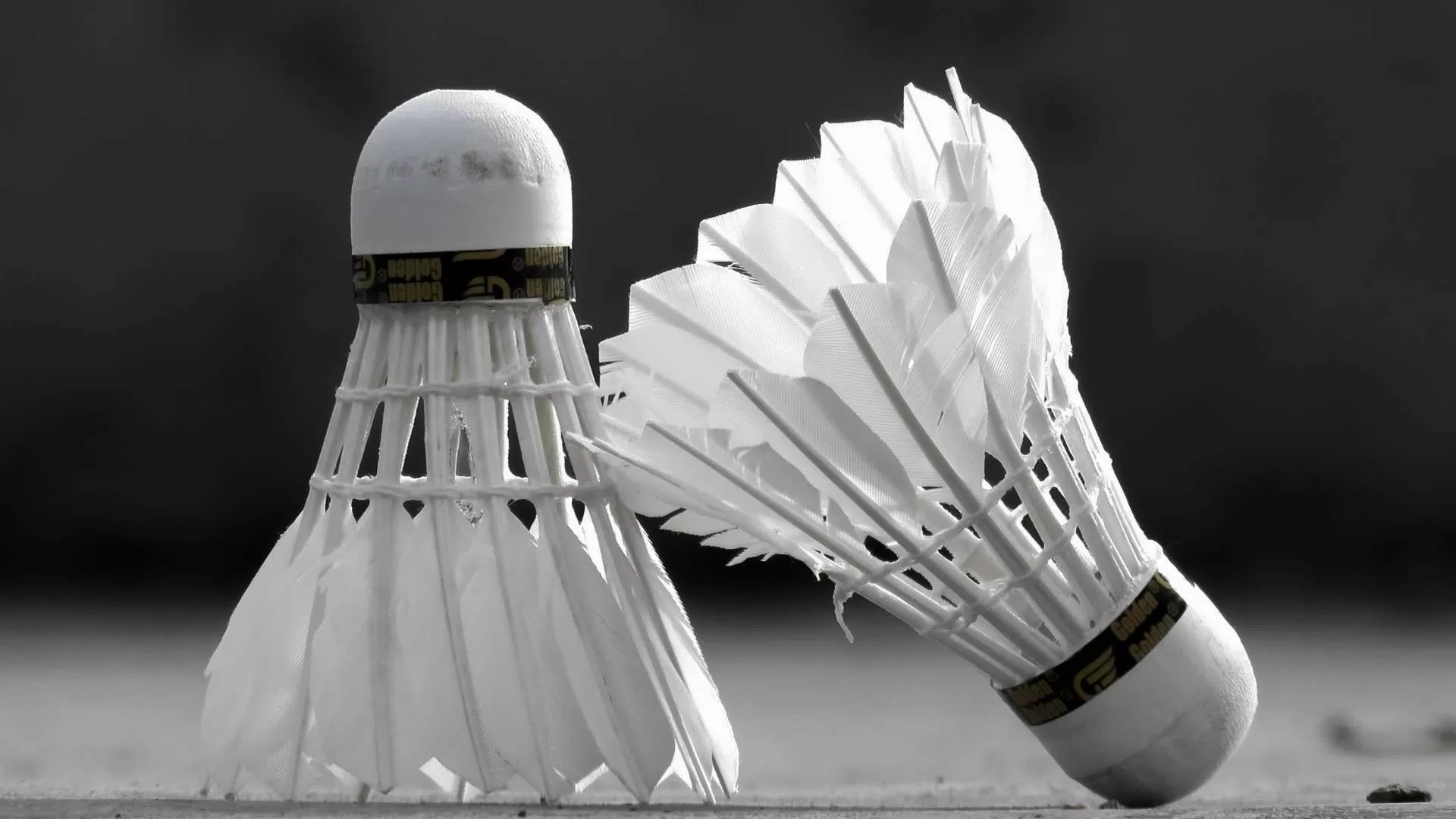 Ilustrasi shuttlecock. (Istimewa)