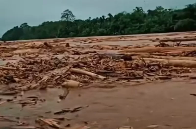 Banjir membawa kayu gelondongan diduga dari pembalakan liar di Sumatra. Bareskrim Polri periksa 17 orang (KONTEKS.CO.ID/Ist)