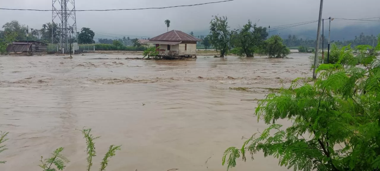 Data Basarnas, korban tewas banjir bandang dan longsor di Aceh, Sumut dan Sumbar capai 447 orang (Foto: BPBD Aceh Tenggara)