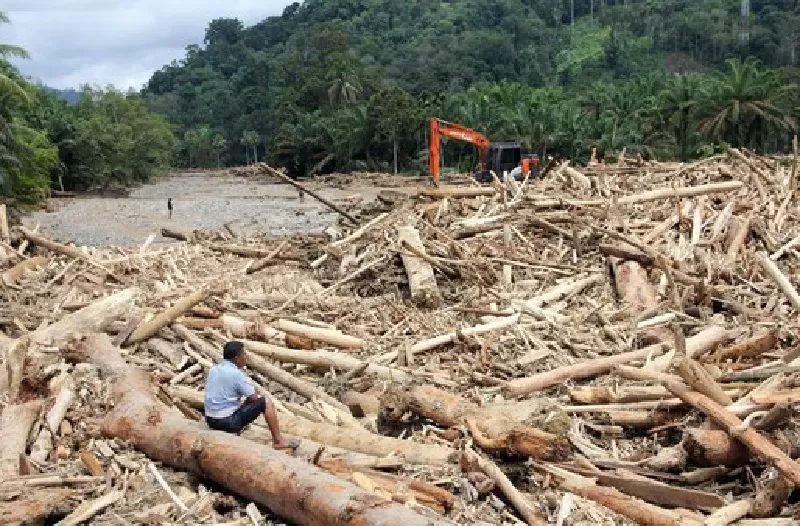 Tumpukan kayu pascabanjir menerjang wilayah Sumut. (KONTEKS.CO.ID/Dok LBH Medan)