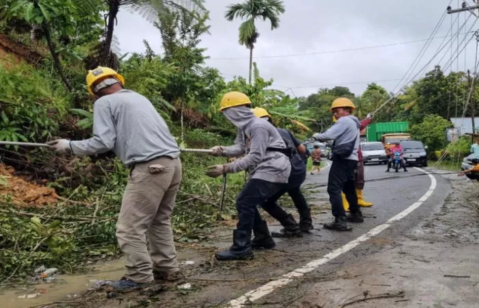 PLN kebut pemulihan sistem kelistrikan di tiga provinsi pascabencana (Foto: BPMI Setpres RI)