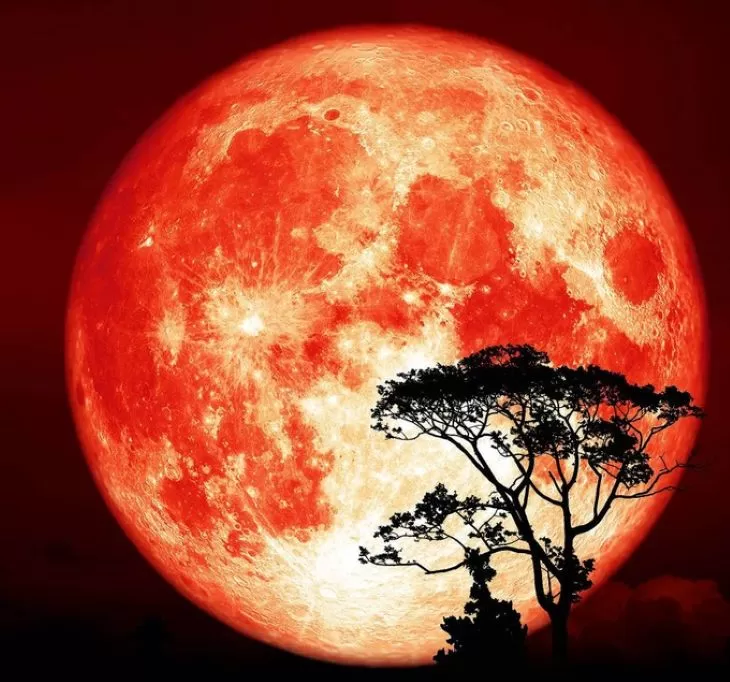 Ilustrasi penampakan Cold Supermoon yang malam ini akan terlihat di langit Indonesia. Kapan waktunya Bulan purnama spesial ini? (Foto: All Days Astronomy)