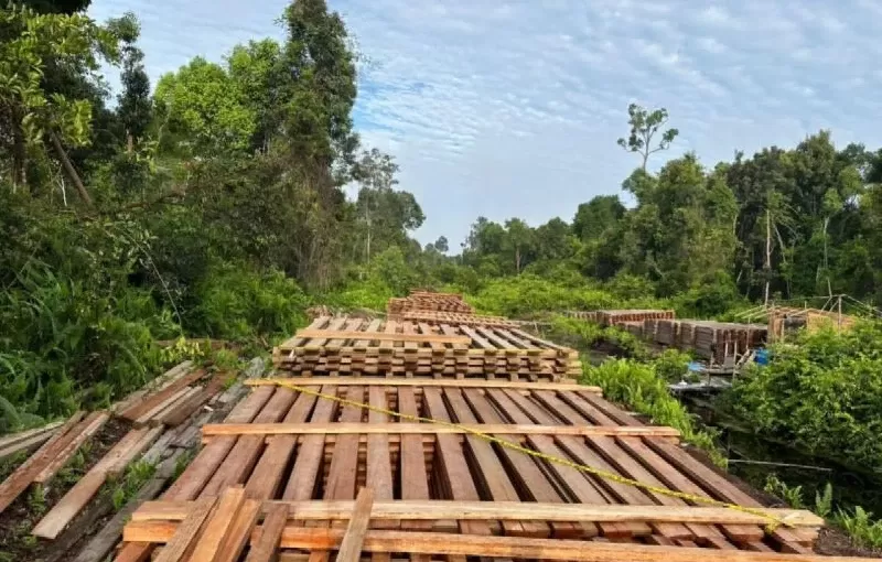 Polisi sita kayu olahan hasil pembalakan liar di hutan Indragiri Hulu. (KONTEKS.CO.ID/Dok Polres Inhu)
