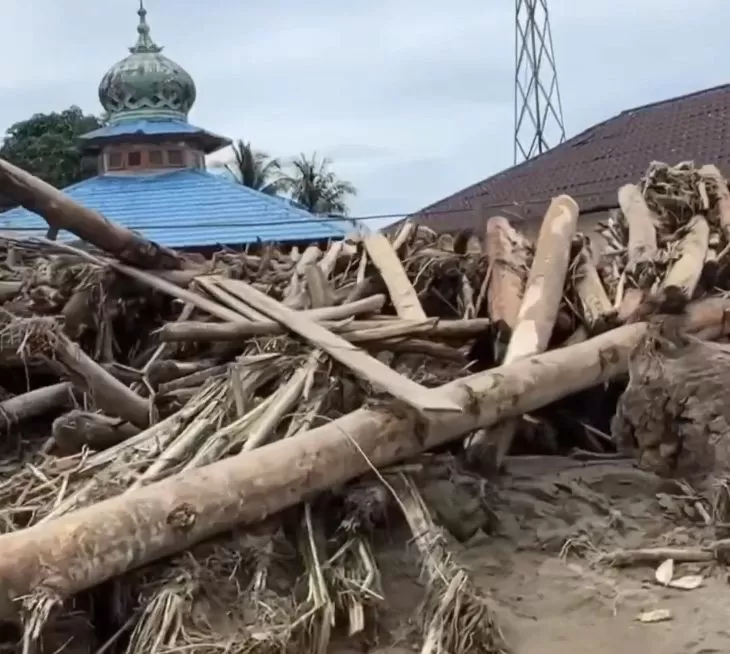 Ilustrasi gelondongan kayu pembalakan hutan yang diduga menjadi penyebab banjir bandang di Tapanuli Selatan.  (Foto: X.com)